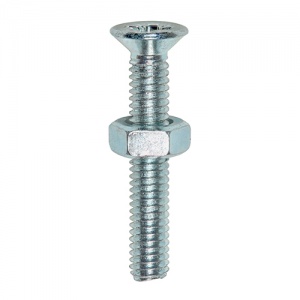 M5 x 10 Machine Screw & Nut CSK - BZP 40 PCS